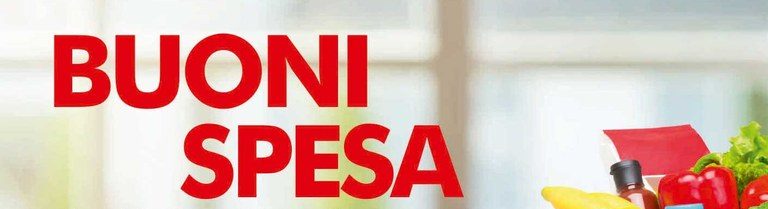 ELENCO COMUNALE DEGLI ESERCIZI COMMERCIALI DISPONIBILI<br>AD ACCETTARE I VOUCHER/BUONI SPESA